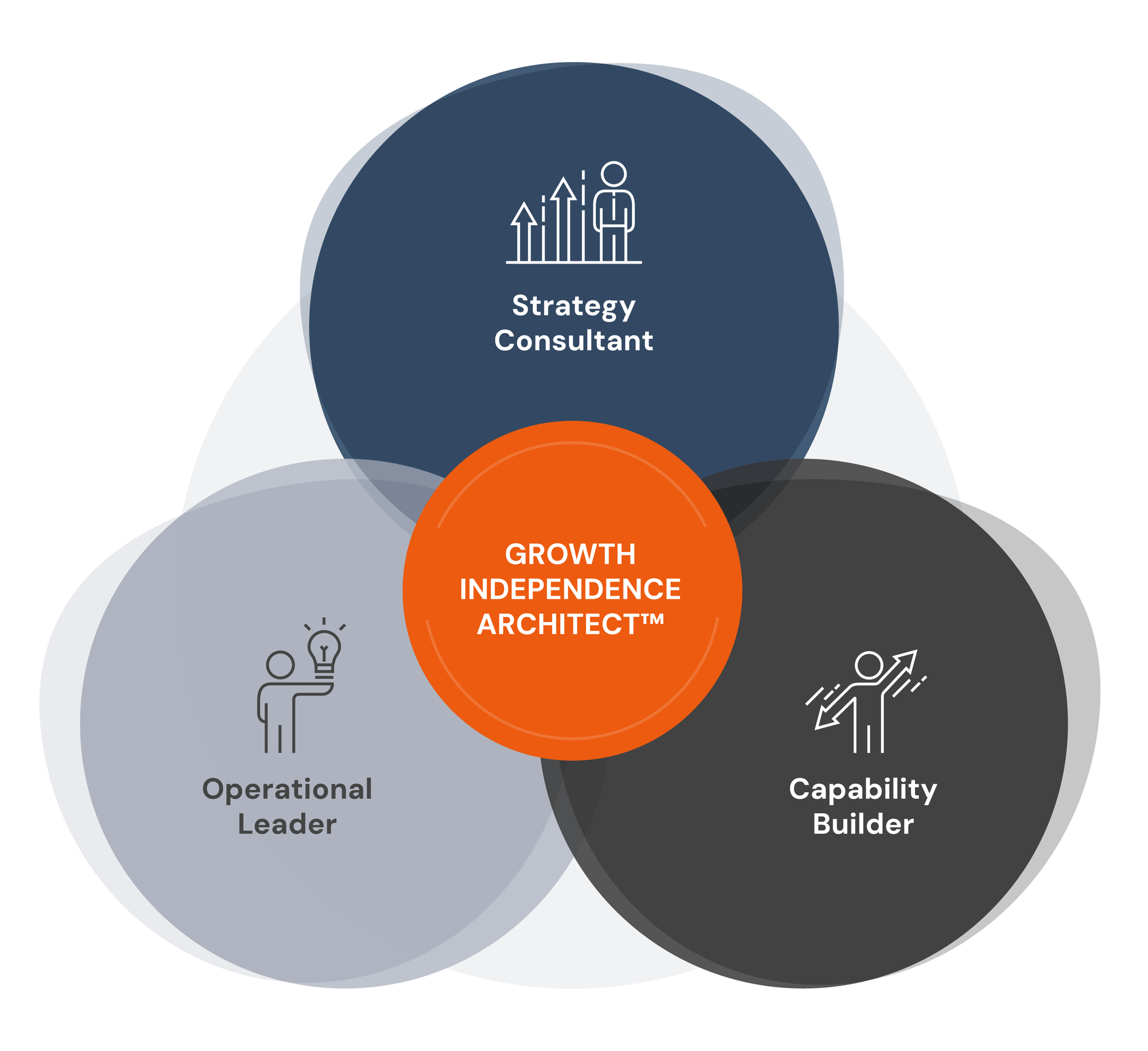 I am not competing with agencies, freelancers, coaches or consultants. I am creating a micro-category: Growth Independence Architect™, which sits between strategy consultant, operational leader and capability builder.