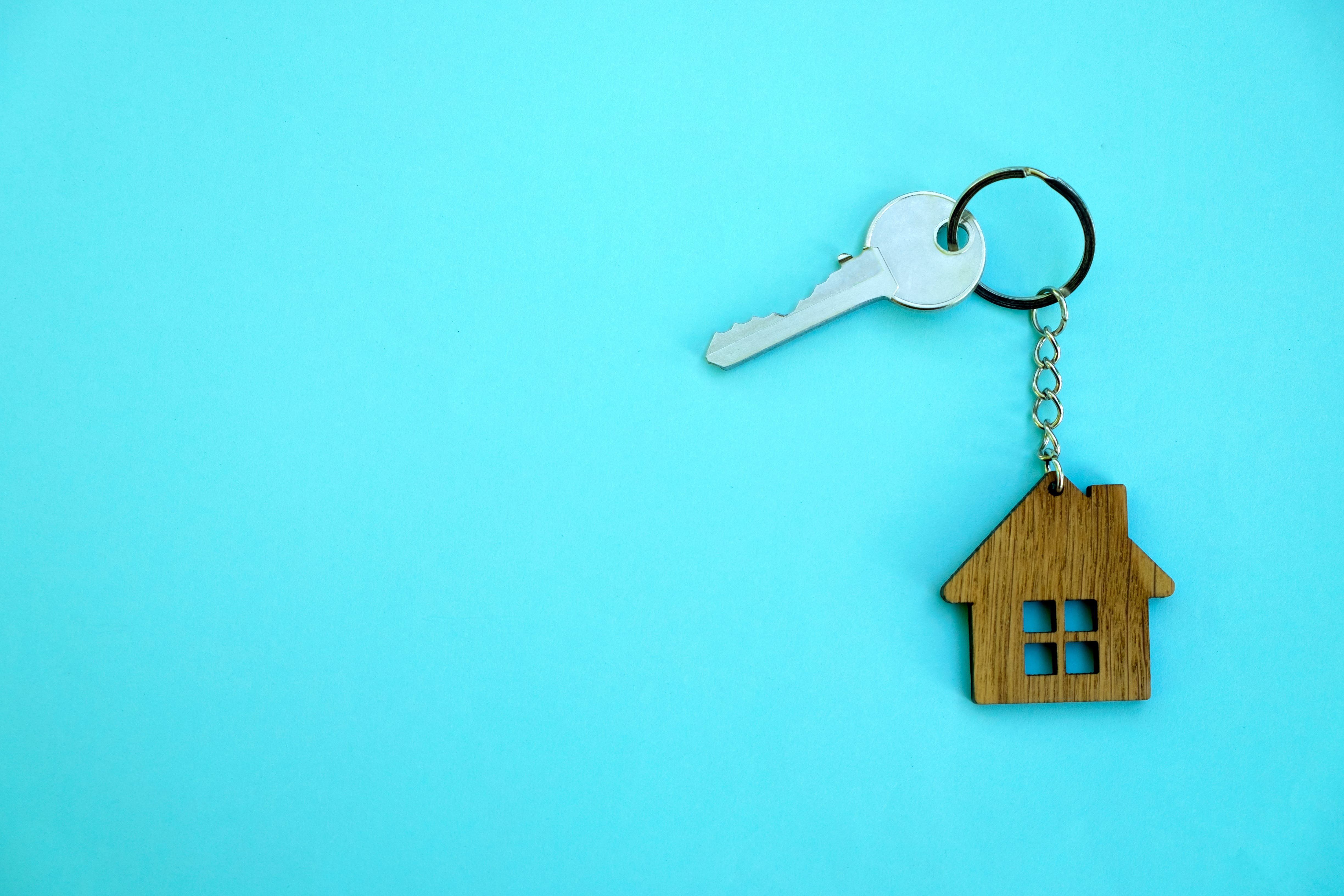 Owned vs rented marketing: the true cost breakdown