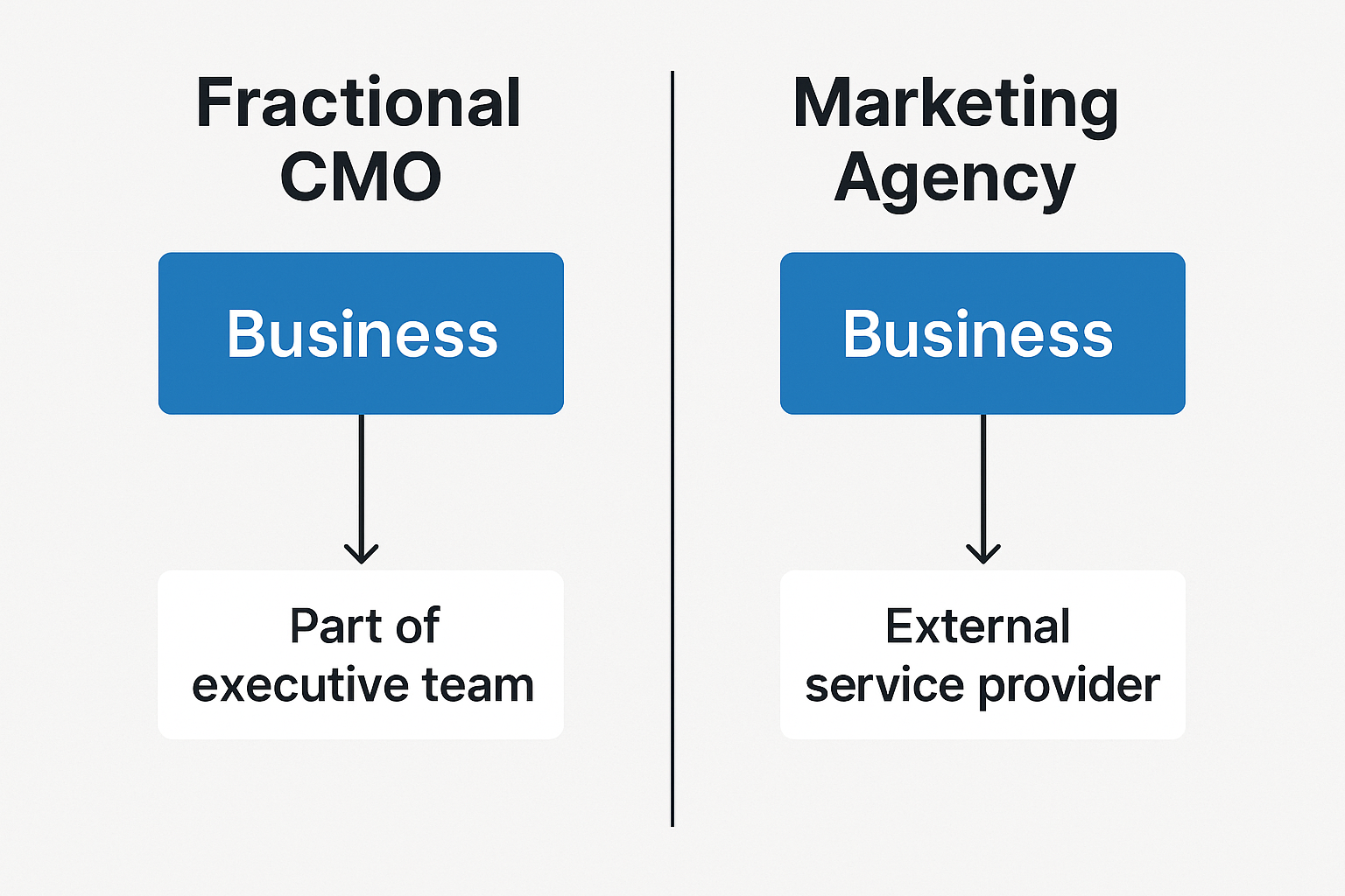 Infographic comparing a Fractional CMO and a marketing agency. Shows a fractional CMO as part of the executive team, integrated into the business, while a marketing agency is positioned as an external service provider.
