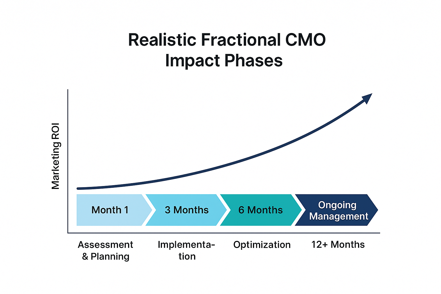 Timeline showing fractional CMO impact phases with ROI increasing from assessment at Month 1 to ongoing management beyond 12 months.